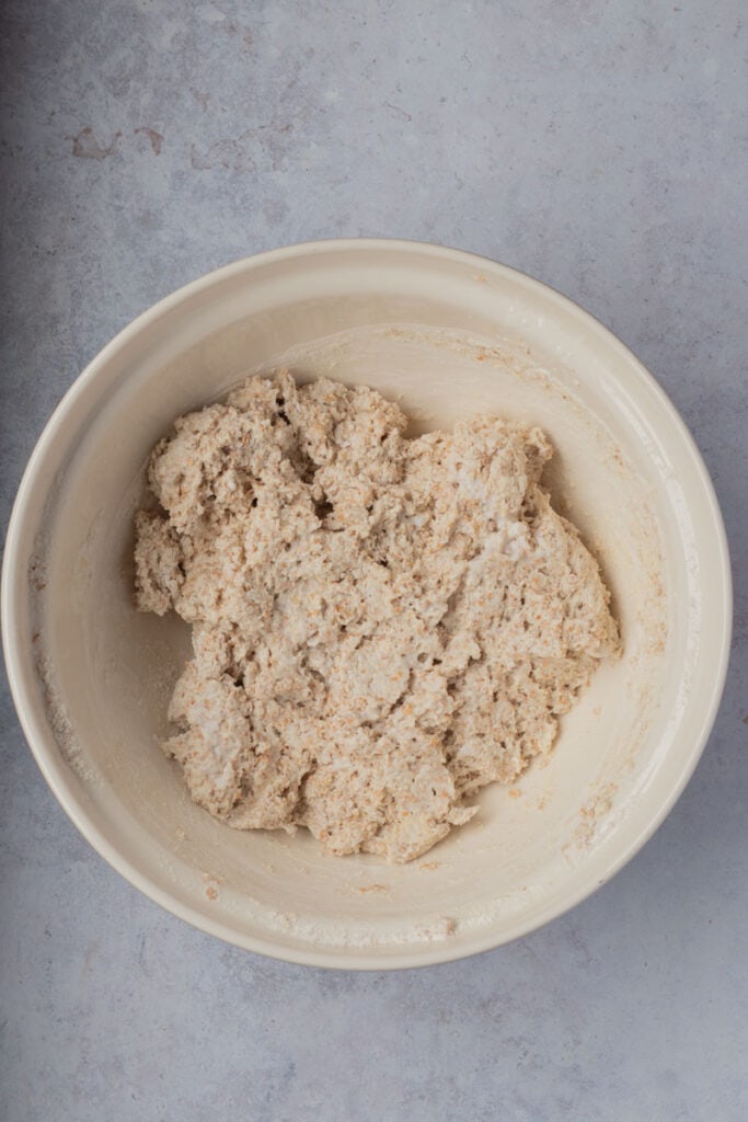 The mixture is mixed into a rough dough.